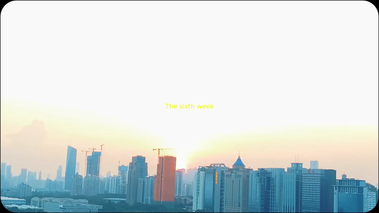 实习vlog系列：6周